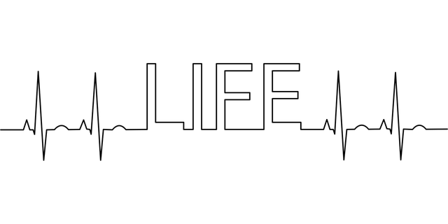 Icon Kreuz mit Pulslinie